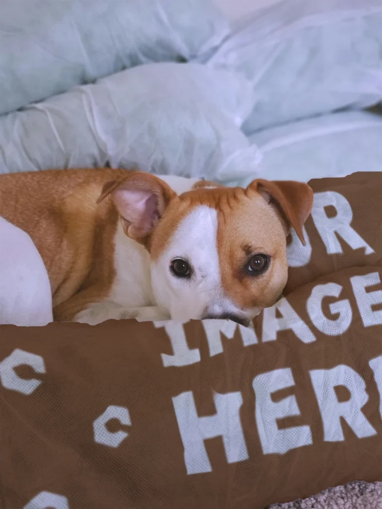 Brown Blanket Mockup Template