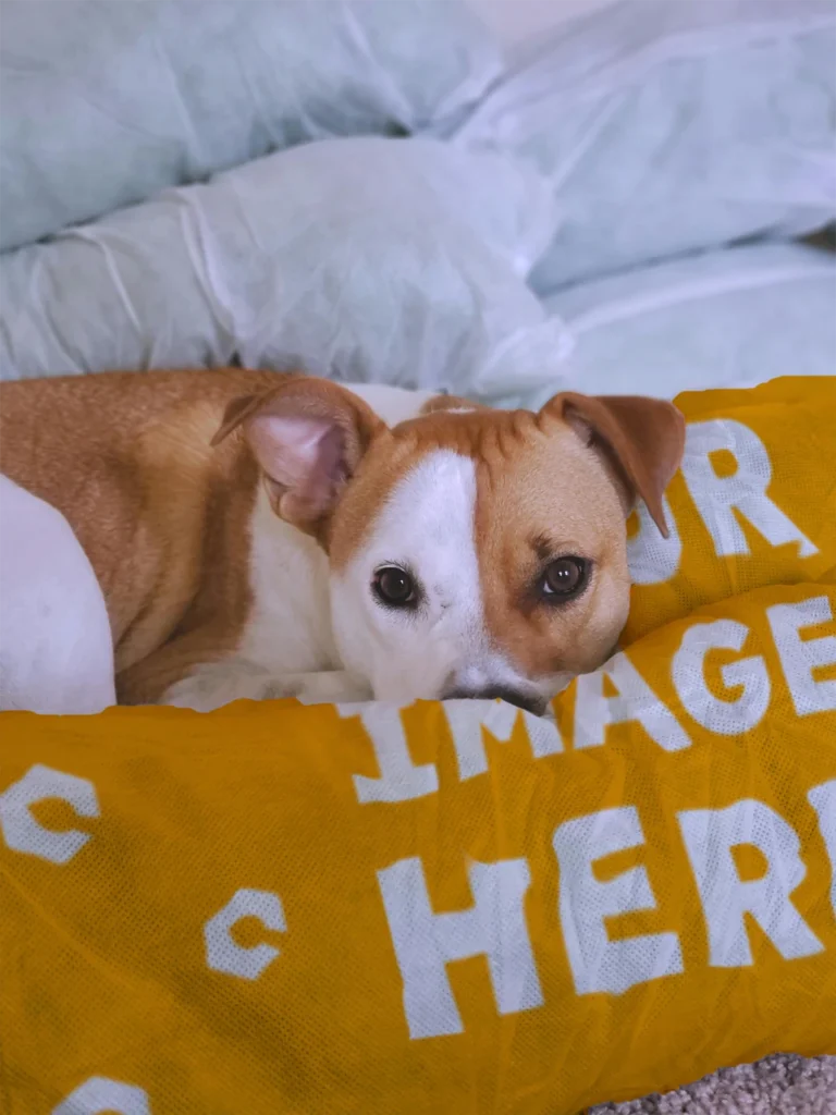 Orange Blanket Mockup Template