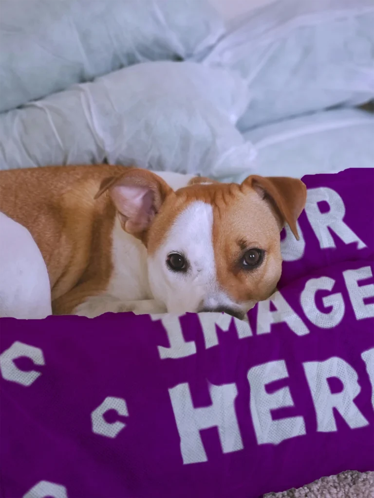 Purple Blanket Mockup Template