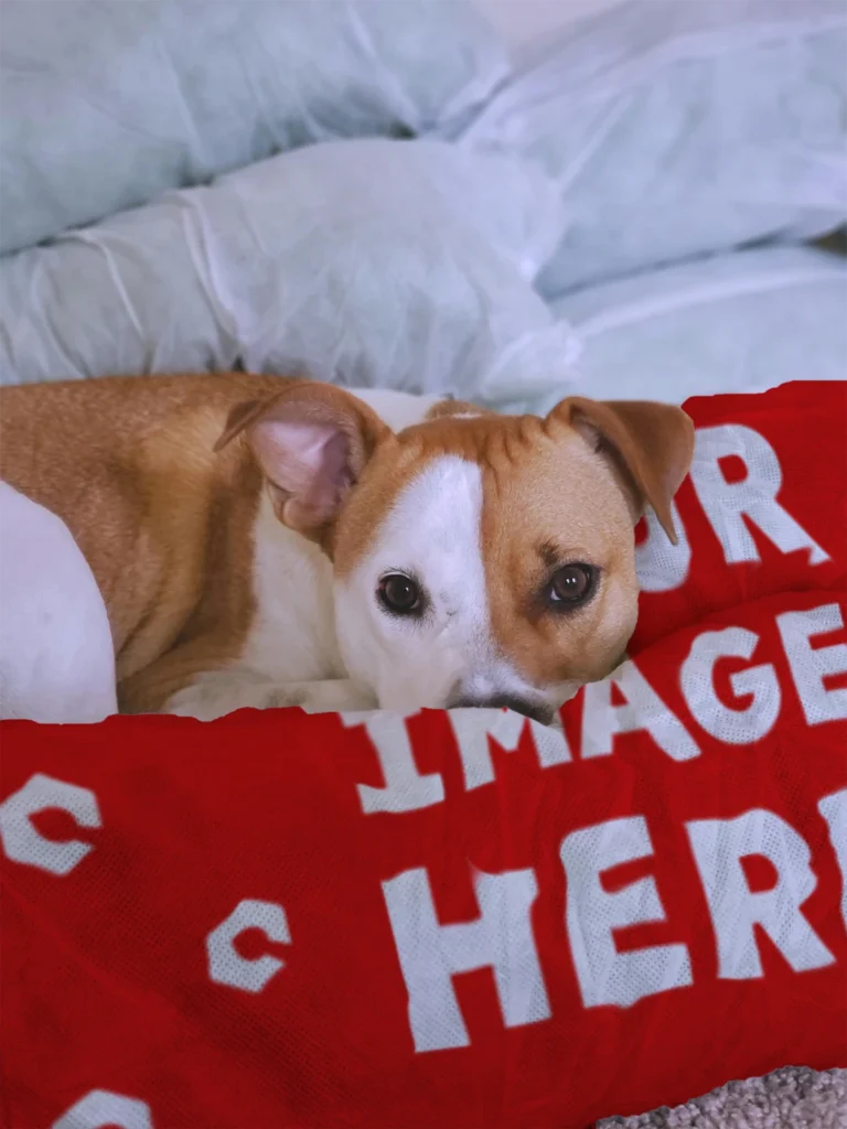 Red Blanket Mockup Template