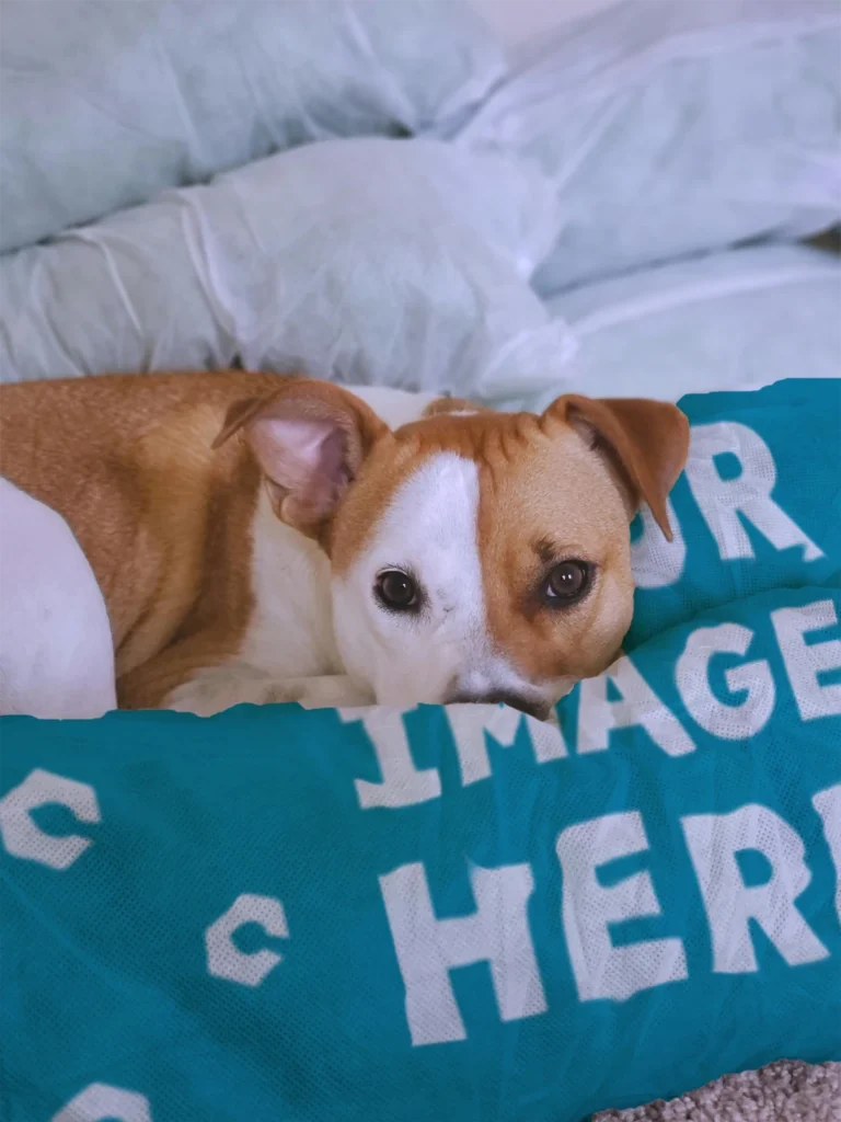 Teal Blanket Mockup Template