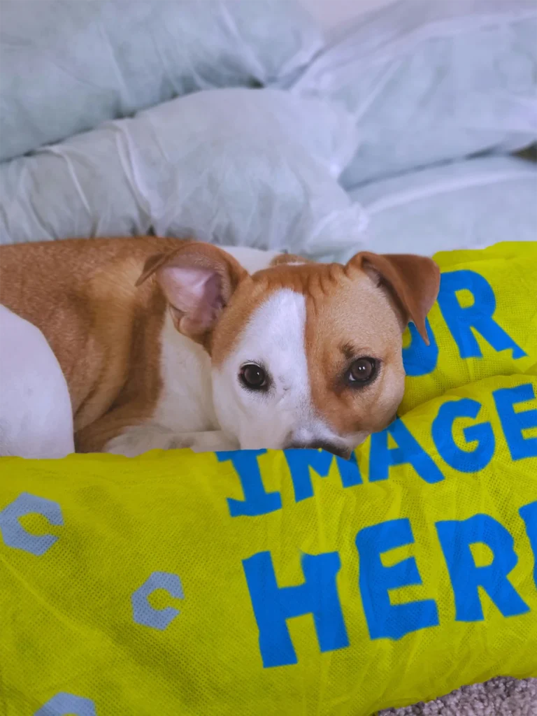 Yellow Blanket Mockup Template